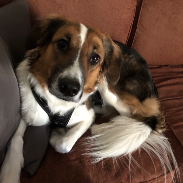 Phylum? I Hardly Know&nbsp;‘Em